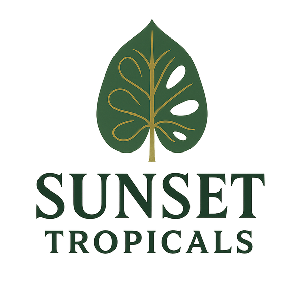 Sunset Tropicals